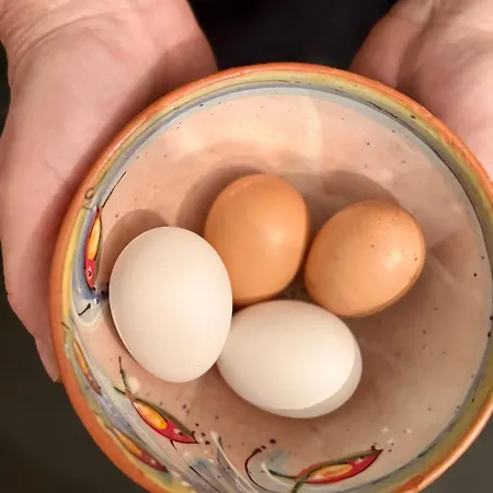 Gutshaus Haidhof Gingst