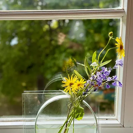 Gutshaus Haidhof Gingst