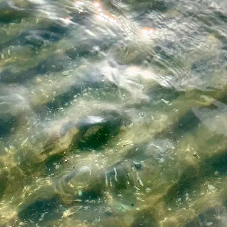 Gutshaus Haidhof Gingst