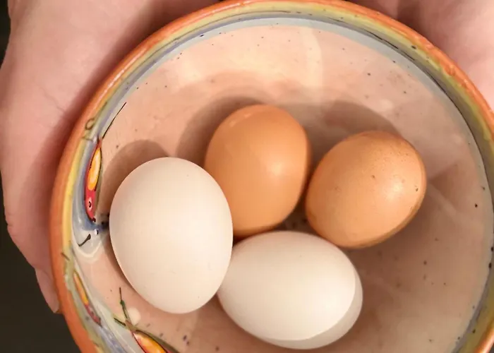 Gutshaus Haidhof Gingst