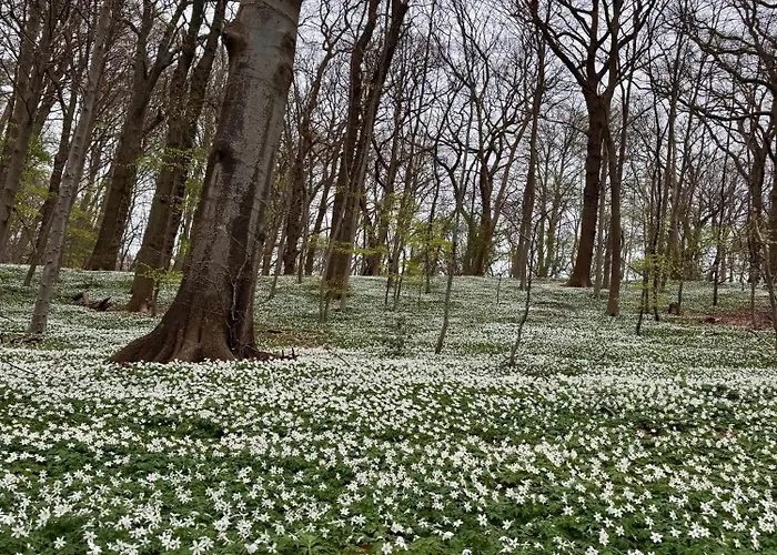 Gutshaus Haidhof Gingst