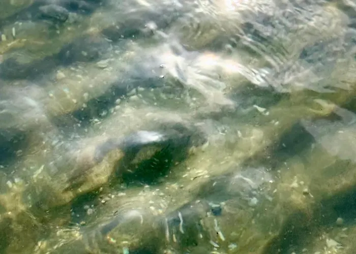 Gutshaus Haidhof Gingst